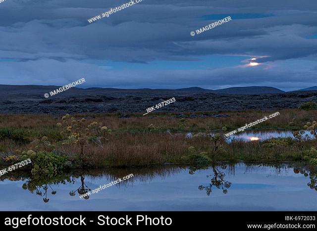 Moonrise, Herðubreiðarlindir Oasis, near Herðubreið or Herdubreid table volcano, Icelandic Highlands, Iceland, Europe