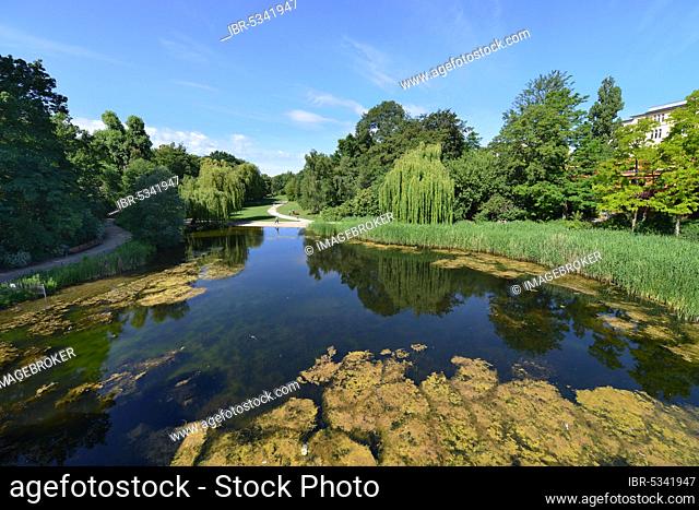 Duck Pond, Rudolph Wilde Park, Schöneberg, Berlin, Germany, Europe