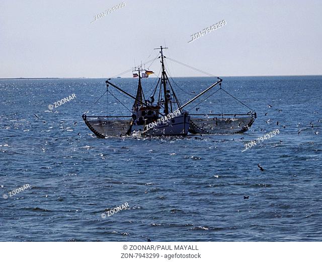 Shrimp Fishing Trawler Operating in the North Sea off the North Frisian Islands Germany