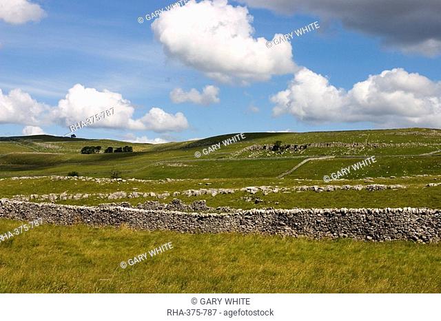 The Dales Way footpath, drystone walls and limestone scenery, Grassington, Yorkshire Dales National Park, North Yorkshire, England, United Kingdom, Europe