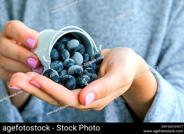 Woman holding metal bucket with Frozen blueberry fruits. Harvesting concept. Female hands collecting berries. Healthy eating concept