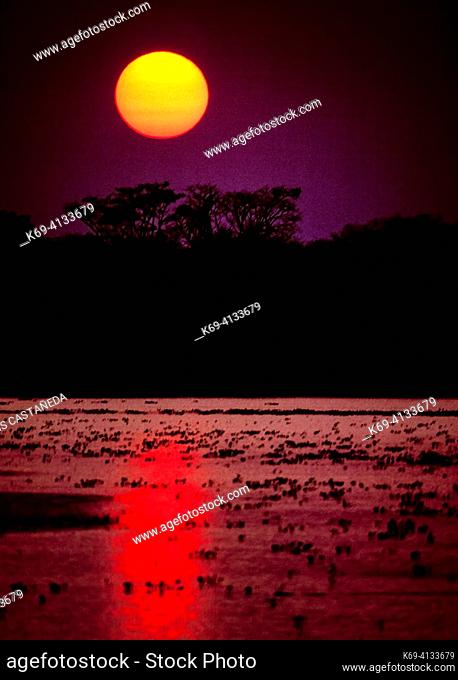 Sunset at Pantanal. Brazil