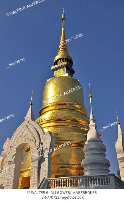 Golden pagoda (stupa) of the Wat Suan Dok Temple in Chiang Mai, Thailand, Southeast Asia