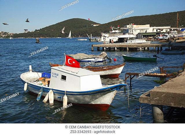Traditional fishing boats at the harbor in Burgazada island, Prince Islands, Istanbul, Marmara Region, Turkey, Europe