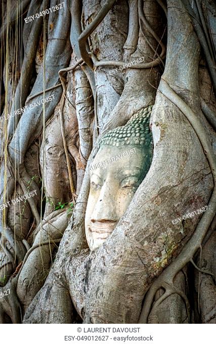 Buddha Head in Tree Roots, Wat Phra Mahathat temple, Ayutthaya, Thailand