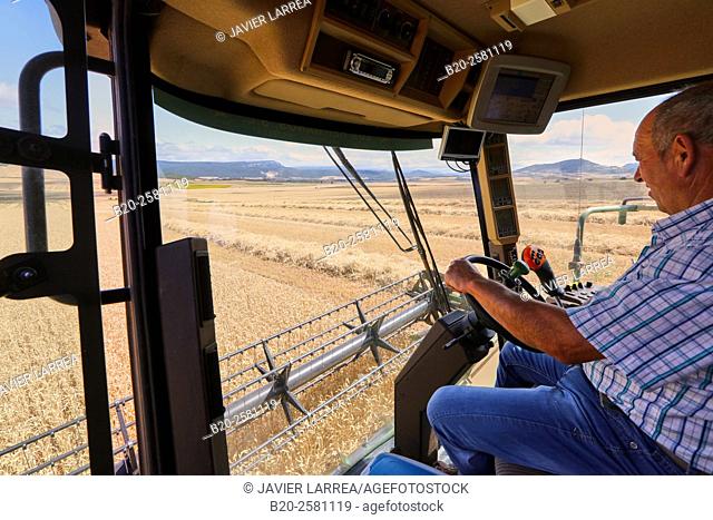 Combine harvester on field of wheat 'Learza' estate Near Estella, Navarre, Spain