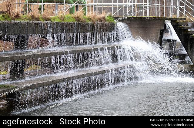 27 January 2021, Lower Saxony, Laatzen: Water from the Leine River runs over cascades near the enercity Grasdorf waterworks for aeration and absorption of...