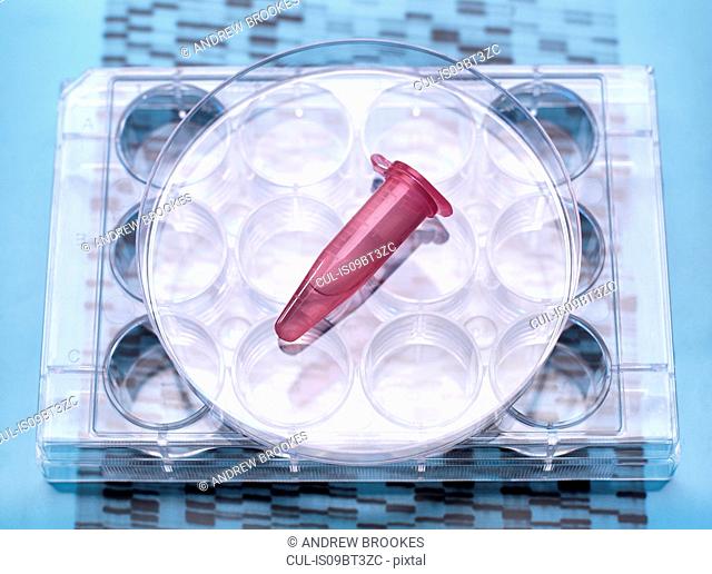 DNA sample inside vial on multi well plate, DNA gel showing results