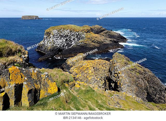 View from the island of Carrick-a-Reed to Sheep Island, County Antrim, Northern Ireland, United Kingdom, Europe