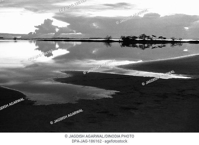 Sea sand and sky at Point Calimere Vedaranyam Nagapattinam Tamil Nadu India Asia 1979