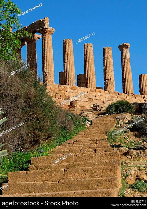 Greek Temple of Juno Lacina, Vallee di Templi, Agrigento, Sicily, Italy, Europe