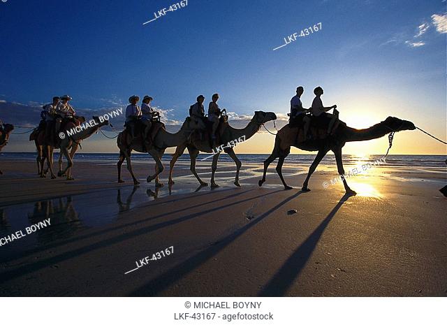 Camel ride along cable beach, Broome, Western Australia, Australia