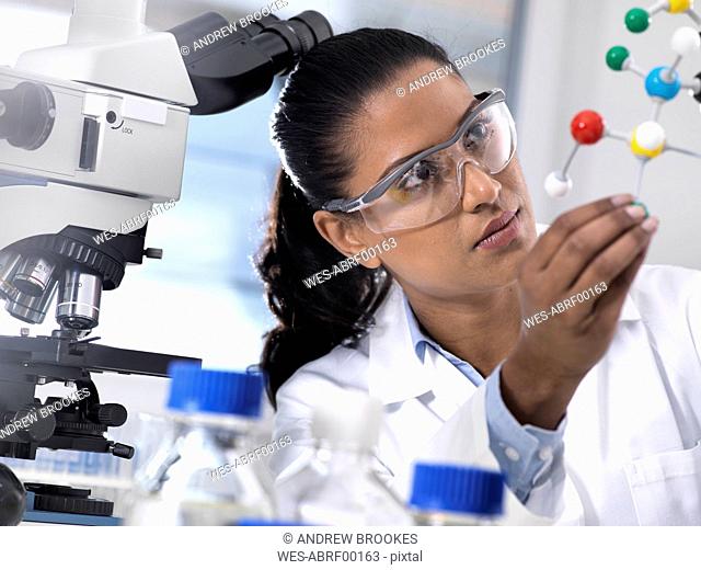 Biotechnology Research, female scientist examining a chemical formula using a ball and stick molecular model in the laboratory