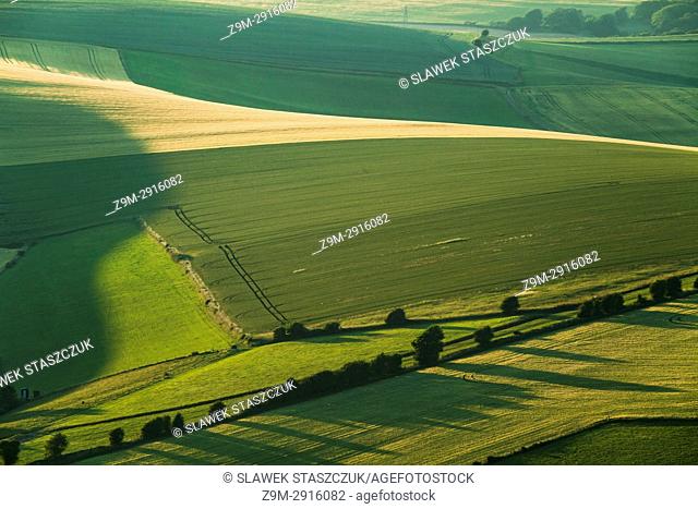 Summer evening in South Downs National Park near Brighton, East Sussex, England