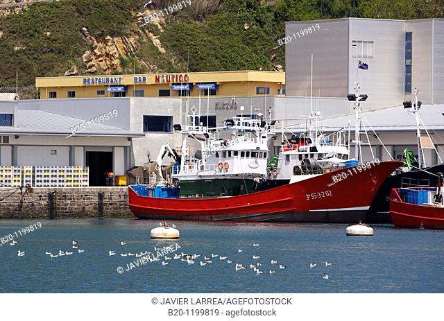 Fishing port, Getaria, Gipuzkoa, Euskadi, Spain