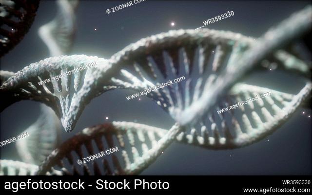 double helical structure of dna strand close-up animation