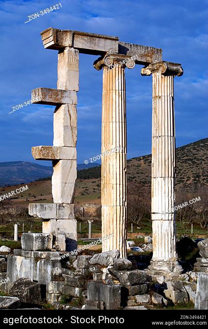 Colones on ruins in Aphrodisias, Turkey