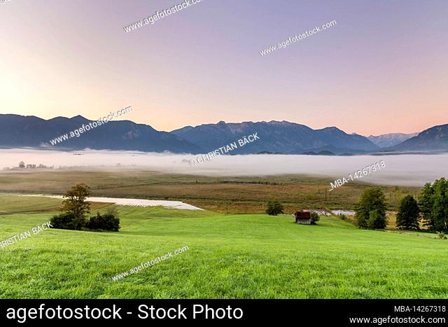 Murnauer Moos with view to the Bavarian Alps, Murnau, Upper Bavaria, Germany
