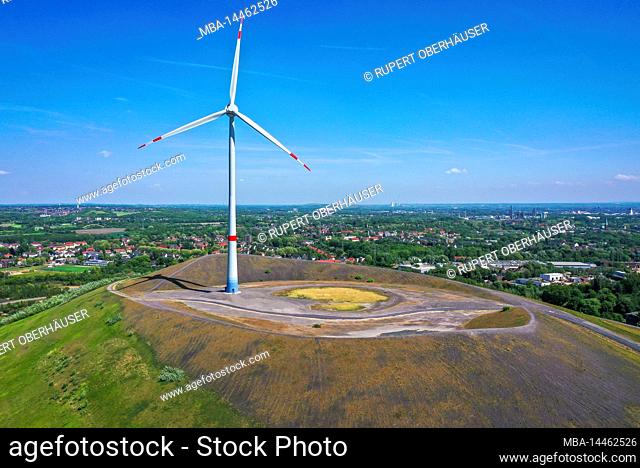 Wind turbine on the Mottbruchhalde, Gladbeck, Ruhr area, North Rhine-Westphalia, Germany, Europe