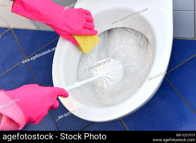 Person with rubber gloves cleans toilet with brush, Germany, Europe