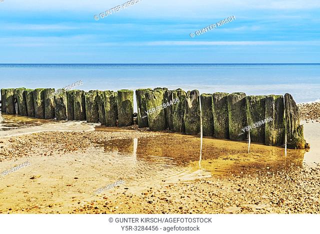 Old Groynes at the beach of the Baltic Sea near Kolobrzeg. Groynes are intended to break the shaft and to prevent the erosion of the coast
