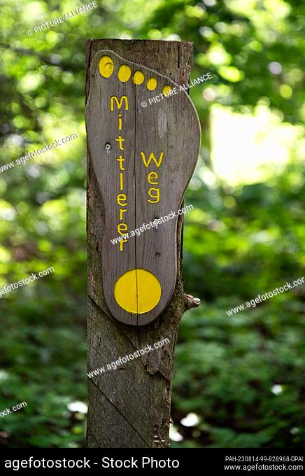 PRODUCTION - 10 August 2023, Lower Saxony, Egestorf: A signpost ""Middle Way"" in the form of a footprint stands in the Barefoot Park