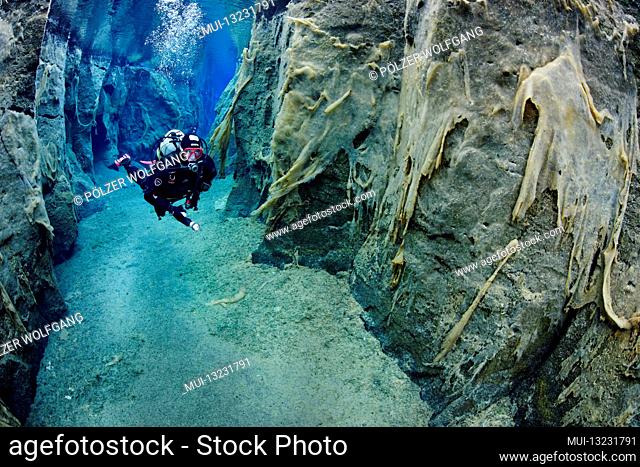 Nesgja, crystal clear freshwater fissure in Nesgja and divers, small tectonic continental fissure between America and Eurasia, Akureyri, northern Iceland