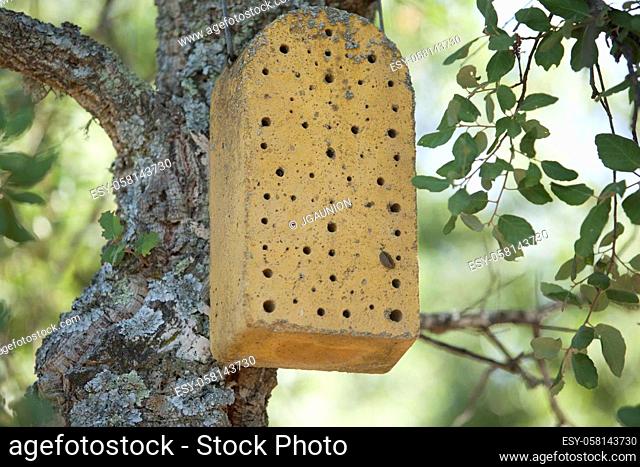 Concrete bug house. A concrete insect hotel hanging on tree