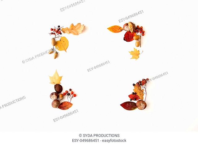 autumn leaves, chestnuts, acorns and berries frame
