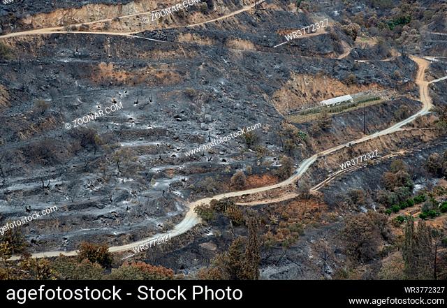 Mountain fire with burned agriculture land and forest. Odou village Cyprus. Disaster of the environment
