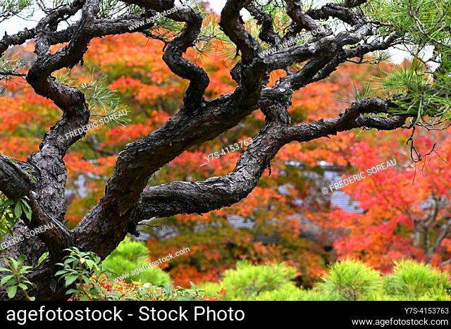 Okochi Sanso garden, Arashiyama, Kyoto, Japan