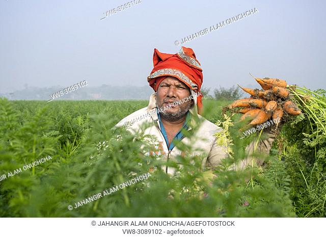 Carrot is an important vegetable of Bangladesh usually grown in the winter season. Many Bangladeshi people involved with carrot cultivation during winter season...