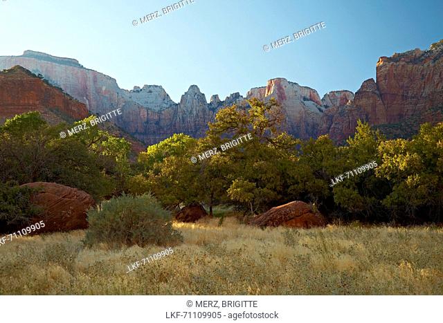 <Towers of the Virgin> , <West Temple> , North Fork Virgin River , Pa' rus Trail , Zion National Park , Utah , Arizona , U.S.A. , America