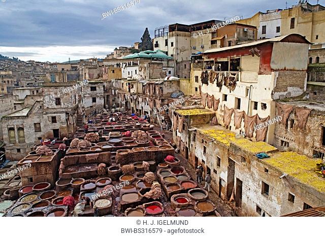 tannery district, Morocco, Fes