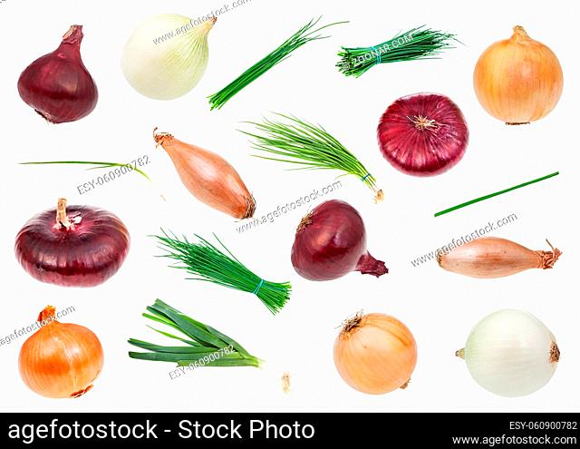 set of various onion herbs and vegetables isolated on white background
