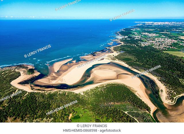 France, Vendee, Talmont Saint Hilaire, Veillon beach and Pointe du Payre (aerial view)