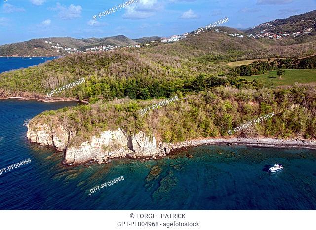 DIVING BOAT ON THE TRANSPARENT WATER, THE ANSES-D‘ARLET, MARTINIQUE, FRENCH ANTILLES, FRANCE