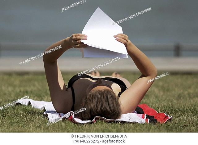 Student Marie studies and at the same time uses her files as parasol at the banks of the Rhine in Mainz, Germany, 17 June 2013