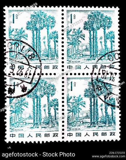 CHINA - CIRCA 1982: A stamp printed in China shows landscape in Xishuangbanna, circa 1982