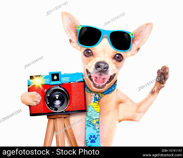 cool tourist photographer dog taking a snapshot or picture with a retro old camera gesturing to say cheese , isolated on white background