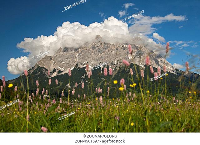 Schönwetterwolken über dem Wetterstein Massiv, Ehrwald, Tirol, Österreich / Cumulus clouds hanging above the Wetterstein Mountains, Ehrwald, Tyrol, Austria