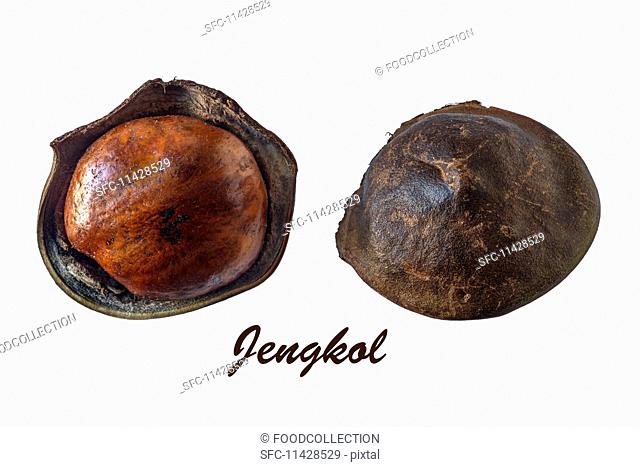 Two jengkol fruits
