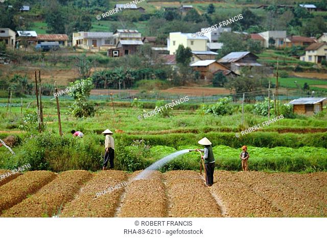 Irrigating fields near Dalat, city in Central Highlands, Vietnam, Indochina, Southeast Asia, Asia