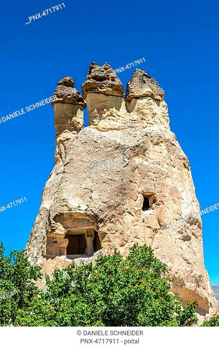 Turkey, Goreme National park and the rock sites of Cappadocia, trogolyte villages and hoodoos topped with their basalt dome in the Pasabag valley (UNESCO World...