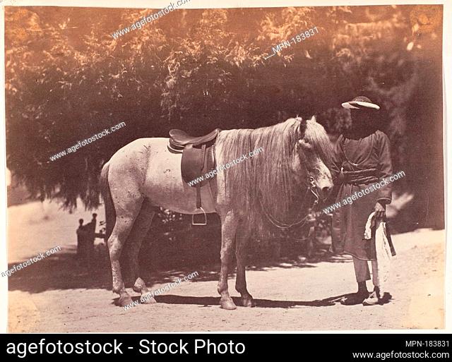 [Lord Canning's Hill Pony]. Artist: Unknown; Date: 1858-61; Medium: Albumen silver print; Dimensions: Image: 19.7 x 14.6 cm (7 3/4 x 5 3/4 in