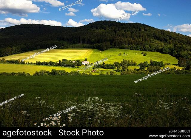 Landschaft zwischen Siedlinghausen und Silbach, Winterberg, Sauerland, Nordrhein-Westfalen, Deutschland, Europa