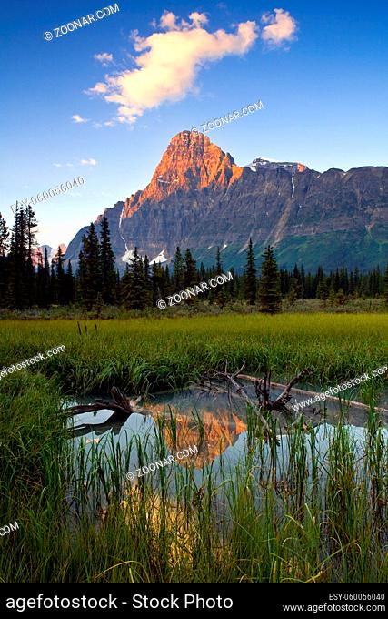 Sunrise and reflection of Mount Chephren, Banff, National Park, Alberta, Canada