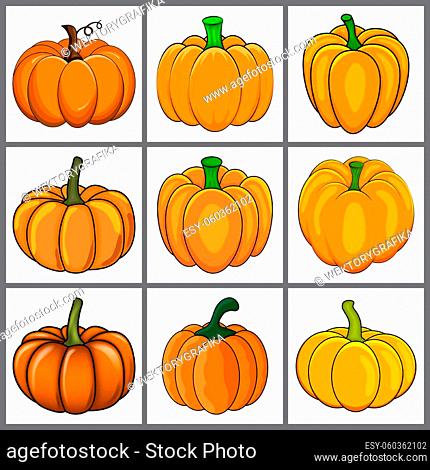 Pumpkin icon set for autumn. Halloween cartoon orange vegetable design. Vector illustration isolated on white background