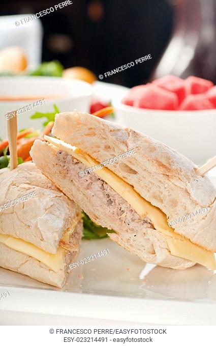 tuna fish and cheese sandwich with fresh mixed salad, watermelon and gazpacho soup on side, with fresh vegetables on background