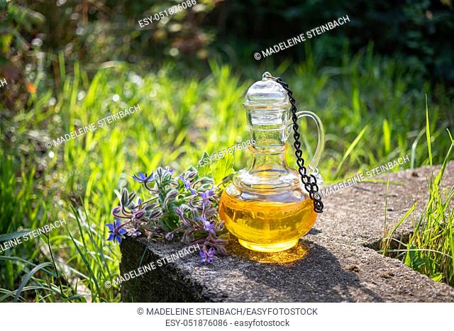 A bottle of borage oil with blooming plant, photographed in a garden